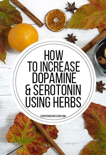 6 Likes, 0 Comments - SoOpErANis Insta-Blog (sooperaniblogs) on Instagram Make today amazing - I bet my mindsetmatters to increase my dopamine endorophin oxytocin and. . How to increase dopamine and serotonin supplements